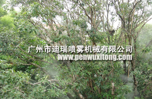 华南碧桂园丹桂树喷雾加湿系统